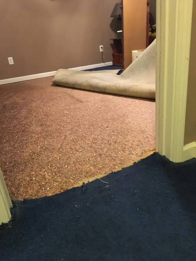 Carpet pad removal revealing water damage during Drying & Dehumidification in Finneytown